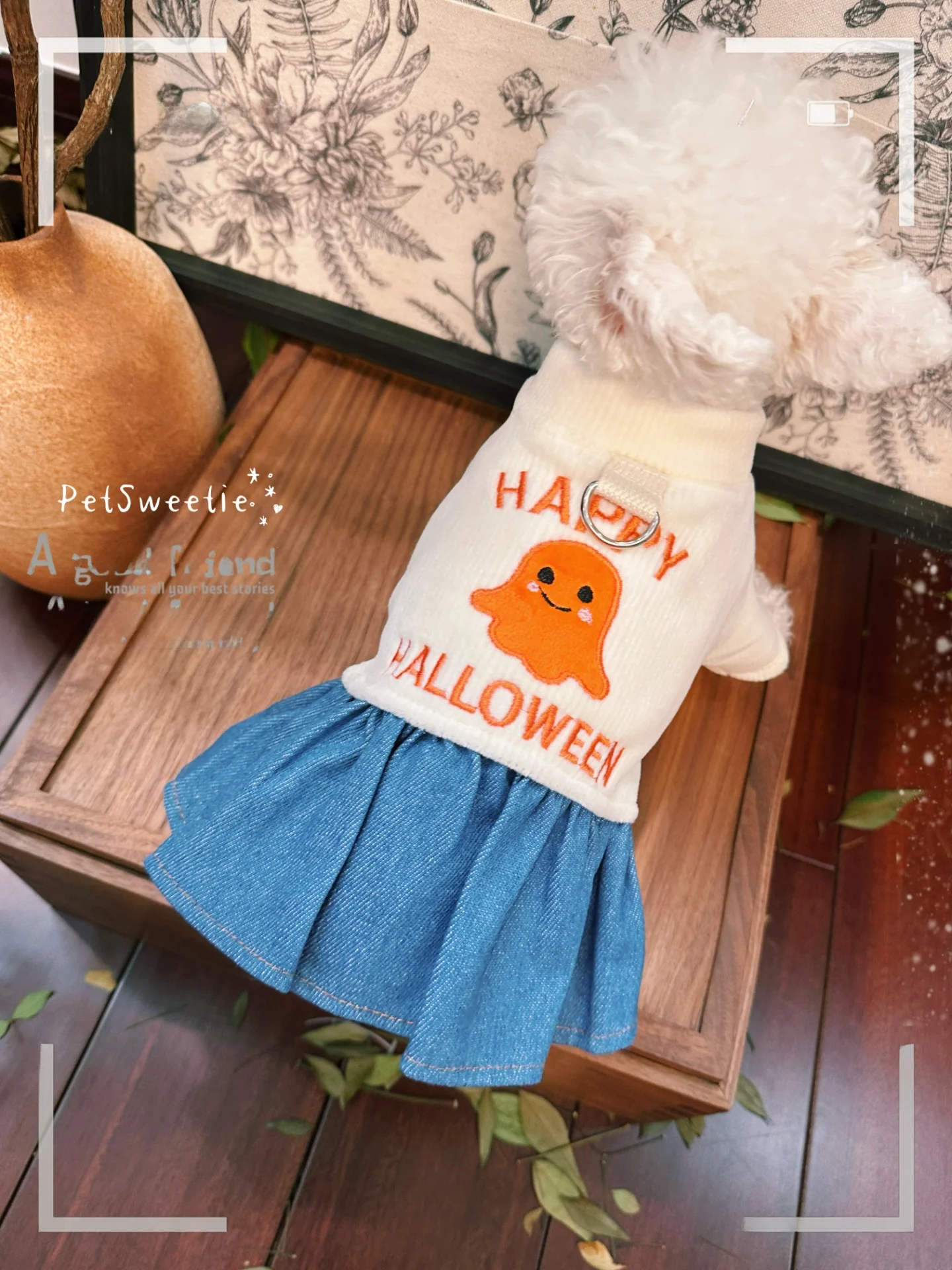ハロウィン犬服で秋冬を楽しむ：デニムスカートのサイズとシーン別の使い方