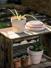 赤陶製 幅広の観葉植物用プランター【吸水・通気性・受け皿付き】