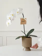 リアルタッチ胡蝶蘭の造花アレンジメント【リビング・ダイニング・玄関用・インテリア装飾】