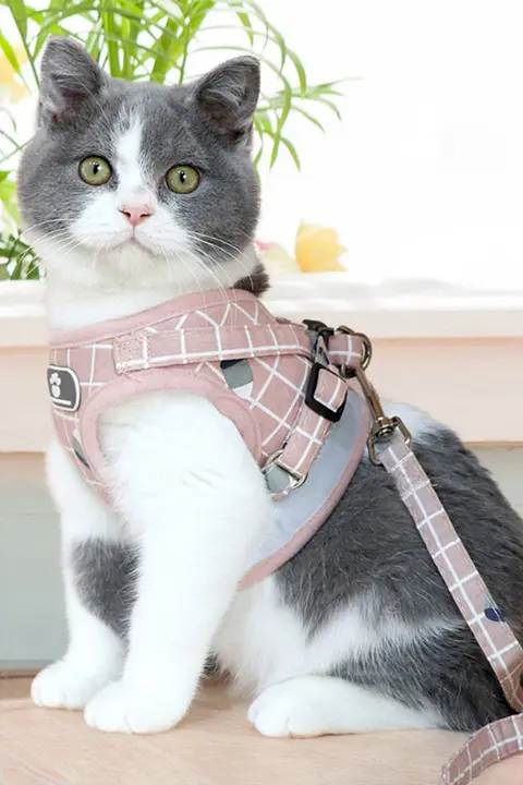 調節可能なハーネス式猫用牽引ロープ【脱走防止・幼猫用・家庭用外出】