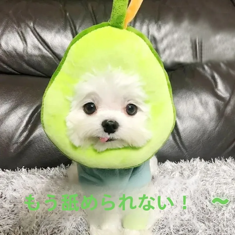 可愛いアボカドデザインの犬用エリザベスカラー：柔らかさと舐め防止の実用性を徹底解説