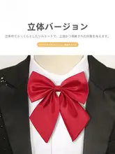 子供用 ネクタイ・リボン【イギリス風・女児のフォーマルスタイル】