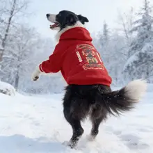 中大型犬用暖かい服【冬用・赤いフーディ・金毛・サモエド対応】（セットアップ対応）