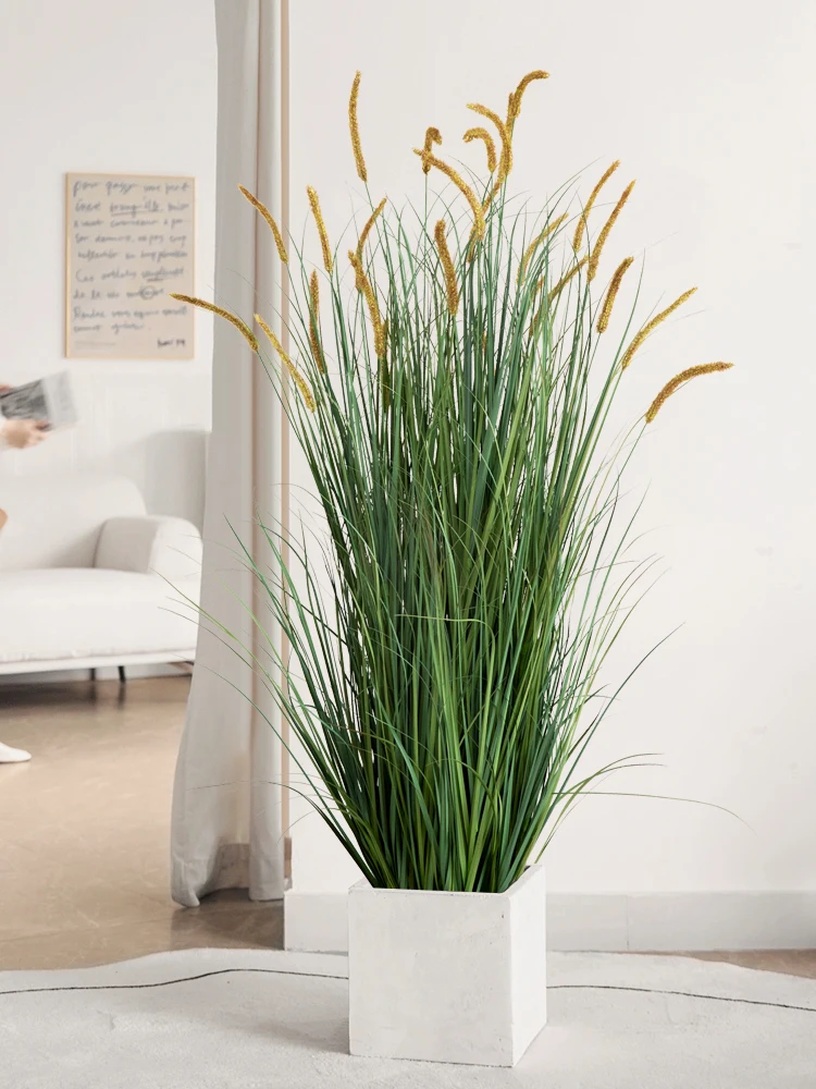 10月に壁に貼るかわいいアイテムは、リアルなグリーン植物がベスト？