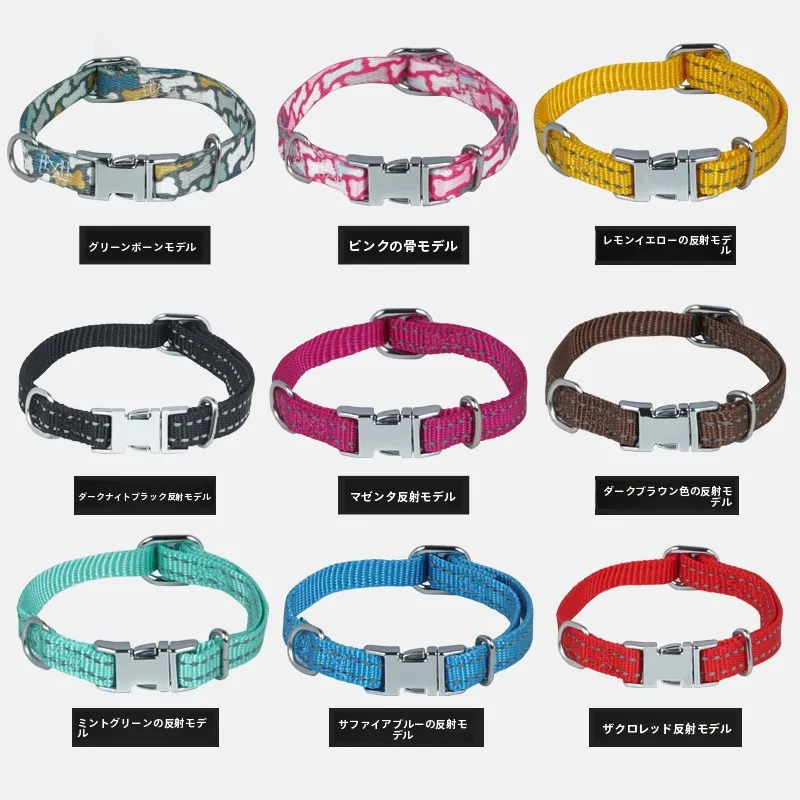 犬のお散歩グッズをコスパ良く揃える方法　安全と美しさを両立する選択の完全ガイド