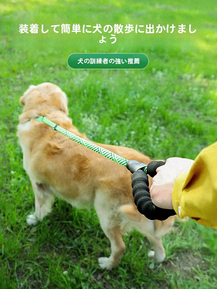 犬首輪リード：防爆設計と大中小型犬対応の実用性を徹底検証
