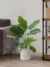 フェイクプランツ スイカ葉 屋内 小さな観葉植物 インテリア