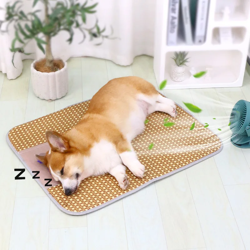 犬の暑さ対策で迷うなら、これひとつで解決できる？