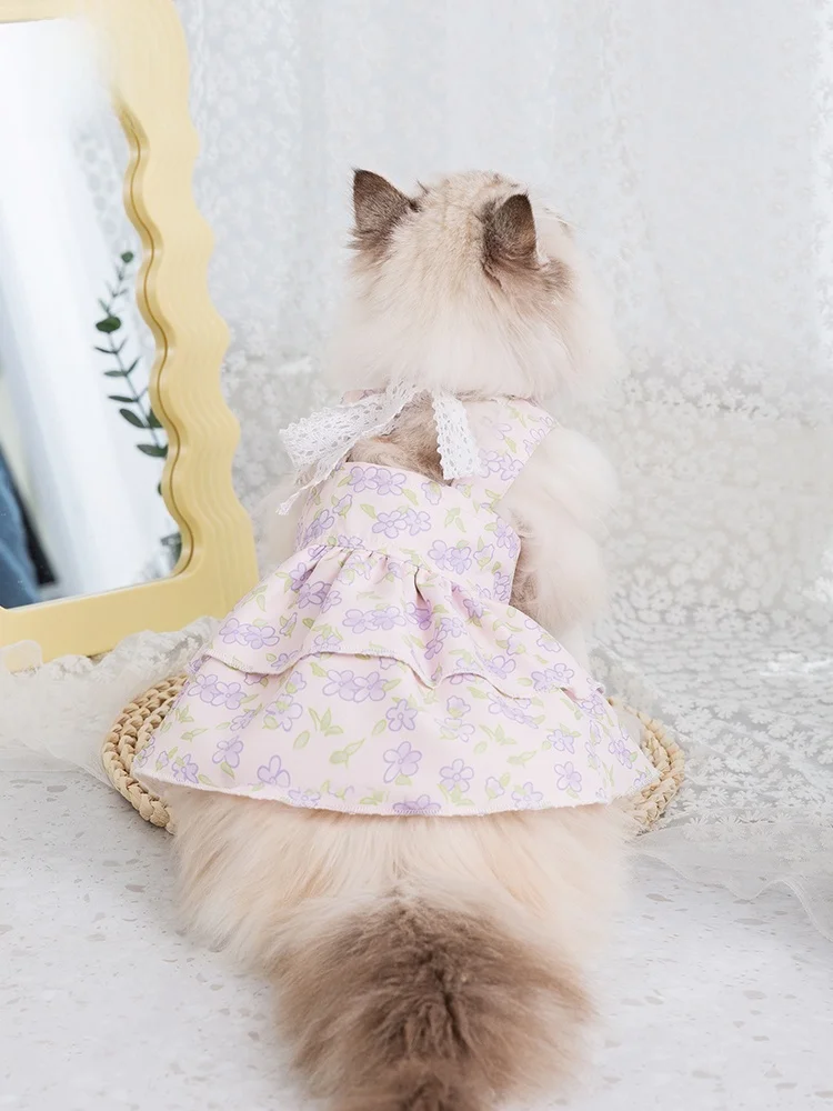 猫飼いが買ってよかったもの・悪かったもの正直に言う | 花柄レース付き子猫のドレスのサイズと通気性