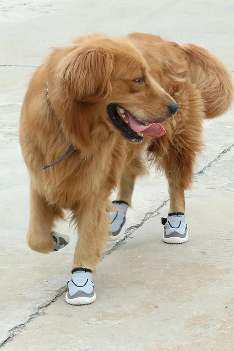 大型犬用防滑シューズ【通気性・耐摩耗・ラブラドール・ゴールデンレトリーバー対応】