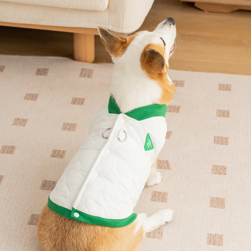 寒さに弱い犬に着せたら、なぜこのコットンウェアが救いになるのか？
