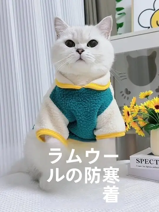 引き手付きの冬用ペット服【ブルーグレー・ダウン付き・スリーブレス・脱毛防止】