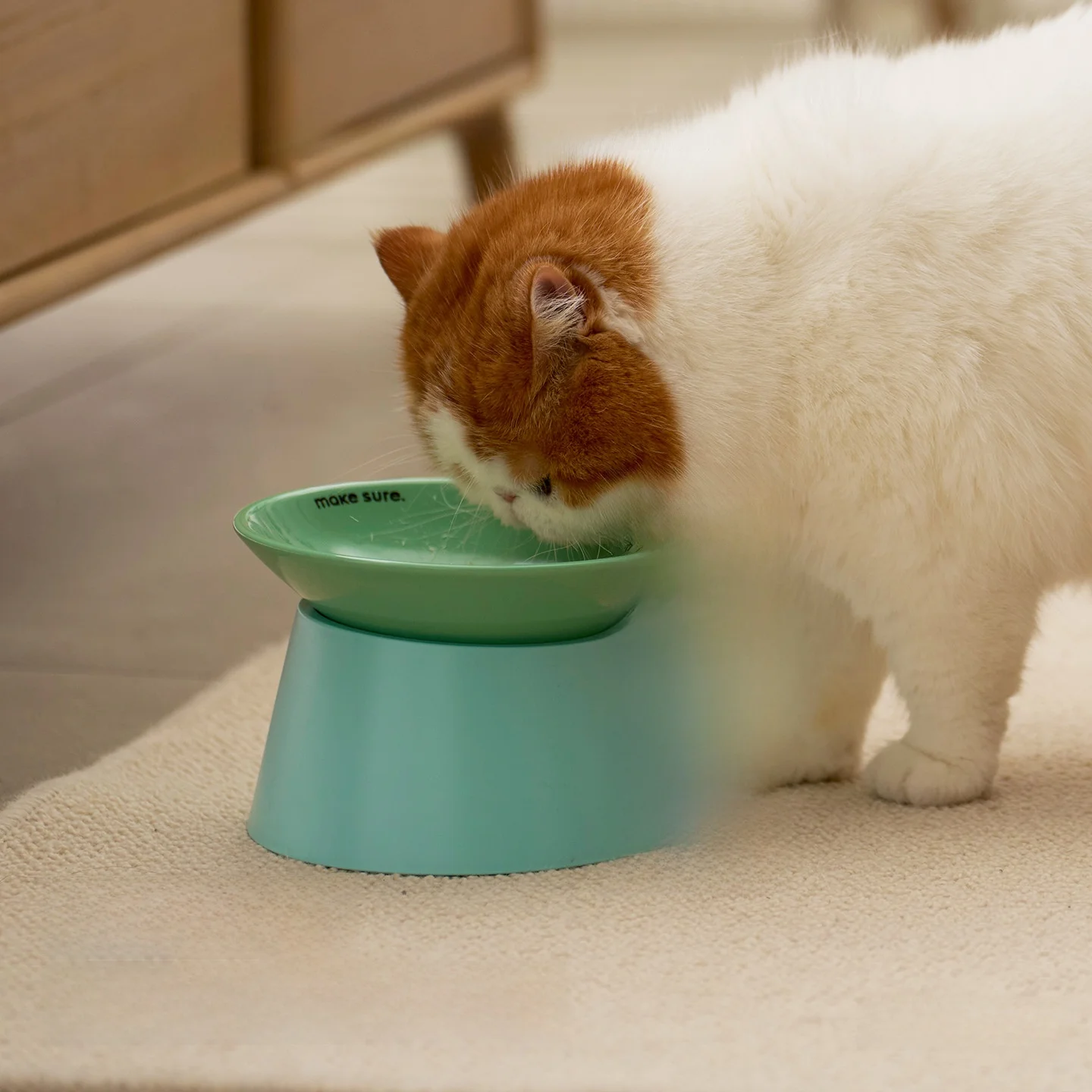 猫用陶器飲み水ボウルの飼いやすさランキング：高脚分体式でストレス少ない猫に最適