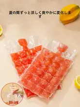 使い捨て冷凍バッグ【自封口・家庭用・アイスキューブ用】
