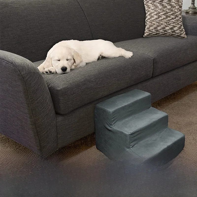 犬のお散歩グッズをコスパ良く揃える方法　完全ガイド