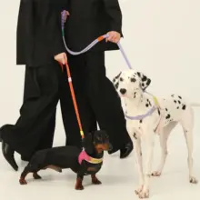 極上の柔らかさ！猫・犬用リード付きハーネス【ブルー・引き裂き防止】