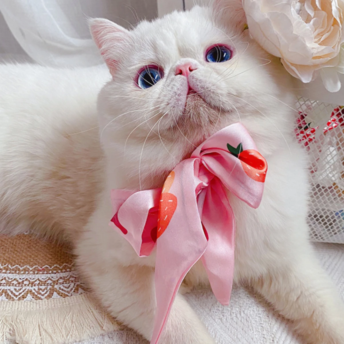 かわいいネクタイのペットアクセサリー：猫と犬用のおしゃれ撮影アクセサリー
