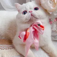 かわいいネクタイのペットアクセサリー【猫と犬用・おしゃれ撮影用】