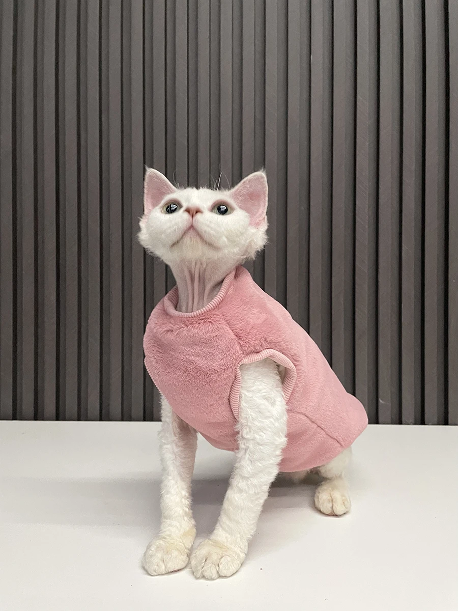 スフィンクス猫用毛無衣服：一人暮らしに最適な冬用保温ベストの実用性と使い方