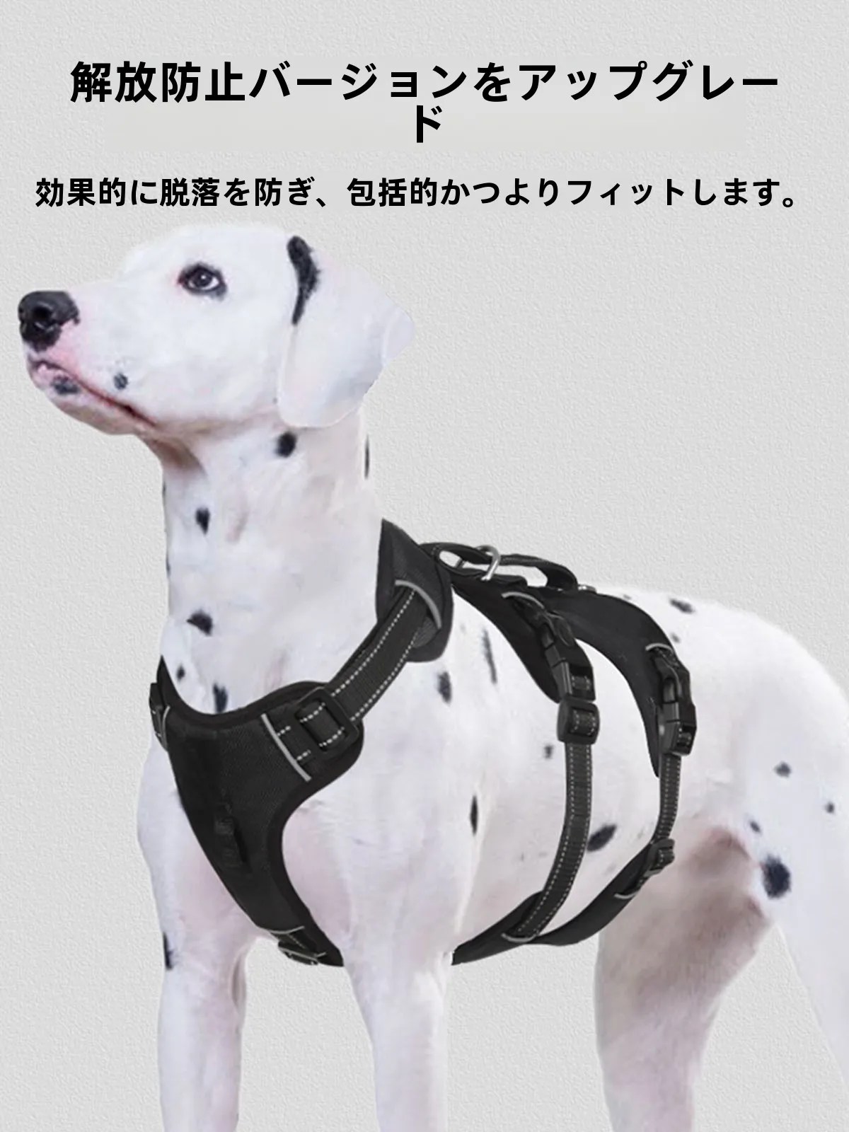 犬のお散歩グッズをコスパ良く揃える方法｜反射材質ハーネスの実測ガイド