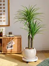 リュウケツジュ造花 大型インテリアグリーン【北欧スタイル・リビング用・人工観葉植物】