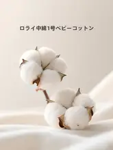 極上の柔らかさの全棉サテン仕上げベビー用掛け布団カバー【抗菌・洗える】