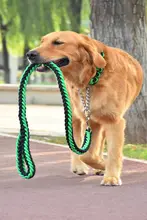 犬用 胸部ハーネス＆リードセット【伸縮性・ボーダーコリー・ラブラドール・ゴールデンレトリバー対応】