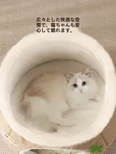 丸太スツール ツリーホール 天然木 インテリア 