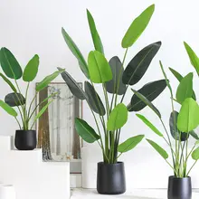 大きな観葉植物 バナナツリー【色あせないデザイン・インテリア装飾用】