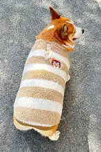 冬用ペット犬服【保温・フリース素材・コーギー・柴犬・フレンチブルドッグ向け】