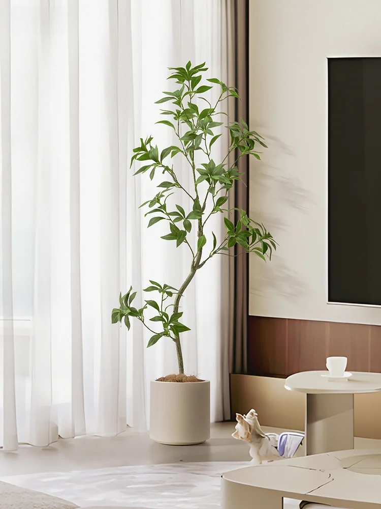 フル活用した節約生活のコツ｜植物で空間をリフレッシュする完全ガイド