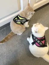 可調節の猫用牽引ロープ【かわいいベストスタイル・脱走防止】