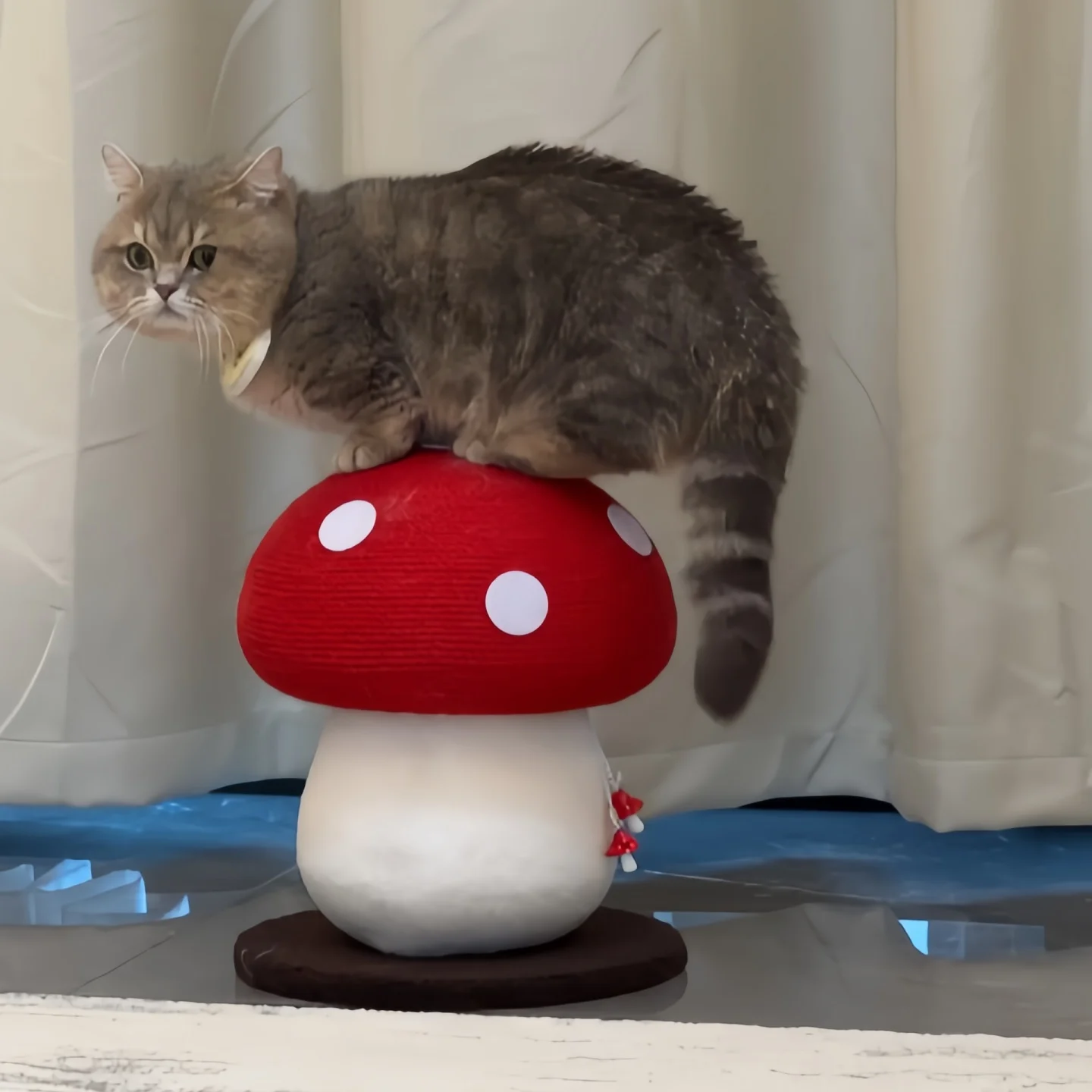 耐久性のある立式猫爪研ぎ柱：猫の飼いやすさランキングにふさわしい省スペースデザイン