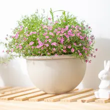 壁掛け吊り鉢【創造的な陶器風・厚手プラスチック製・観葉植物用】