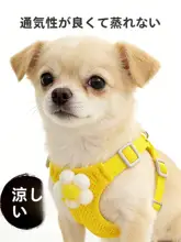 通気性に優れた軽量犬用ハーネス【メッシュ・夏用・中小型犬対応】