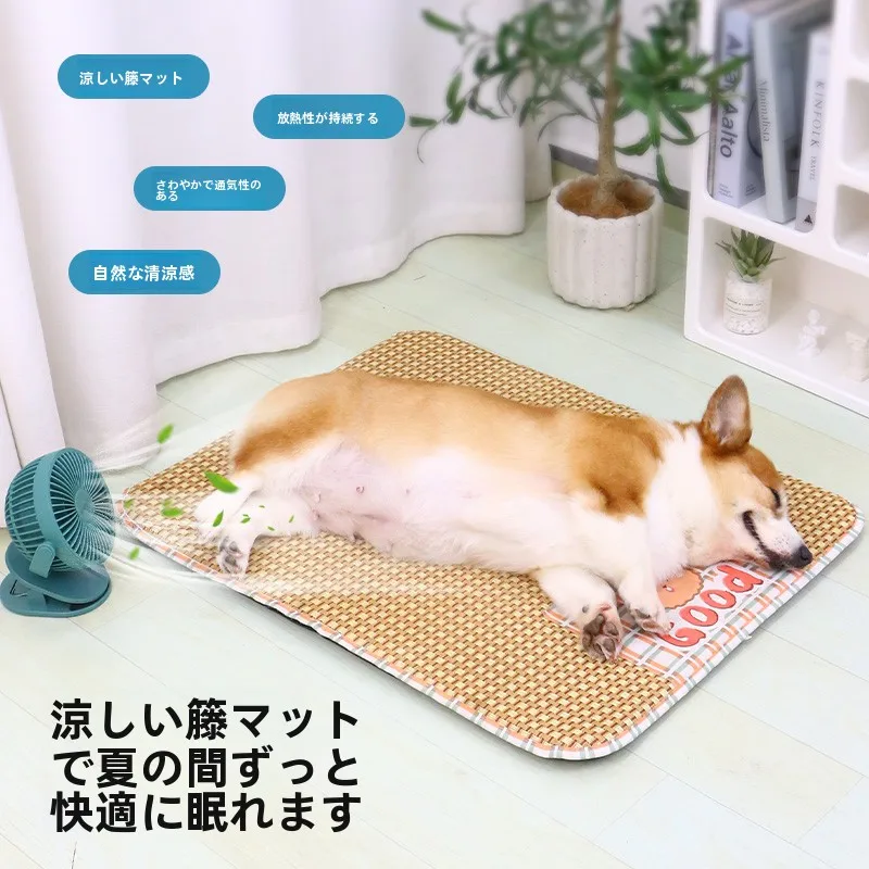 犬の暑さ対策で迷うなら、これひとつで解決できる？