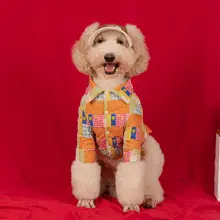 大型犬用 秋冬用シャツジャケット【ラブラドール・ゴールデン・ボーダーコリー・サモエド対応】