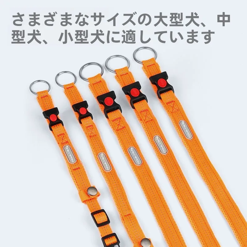 犬のお散歩グッズをコスパ良く揃える方法 - 首輪・リードセットの調整可能サイズと機能