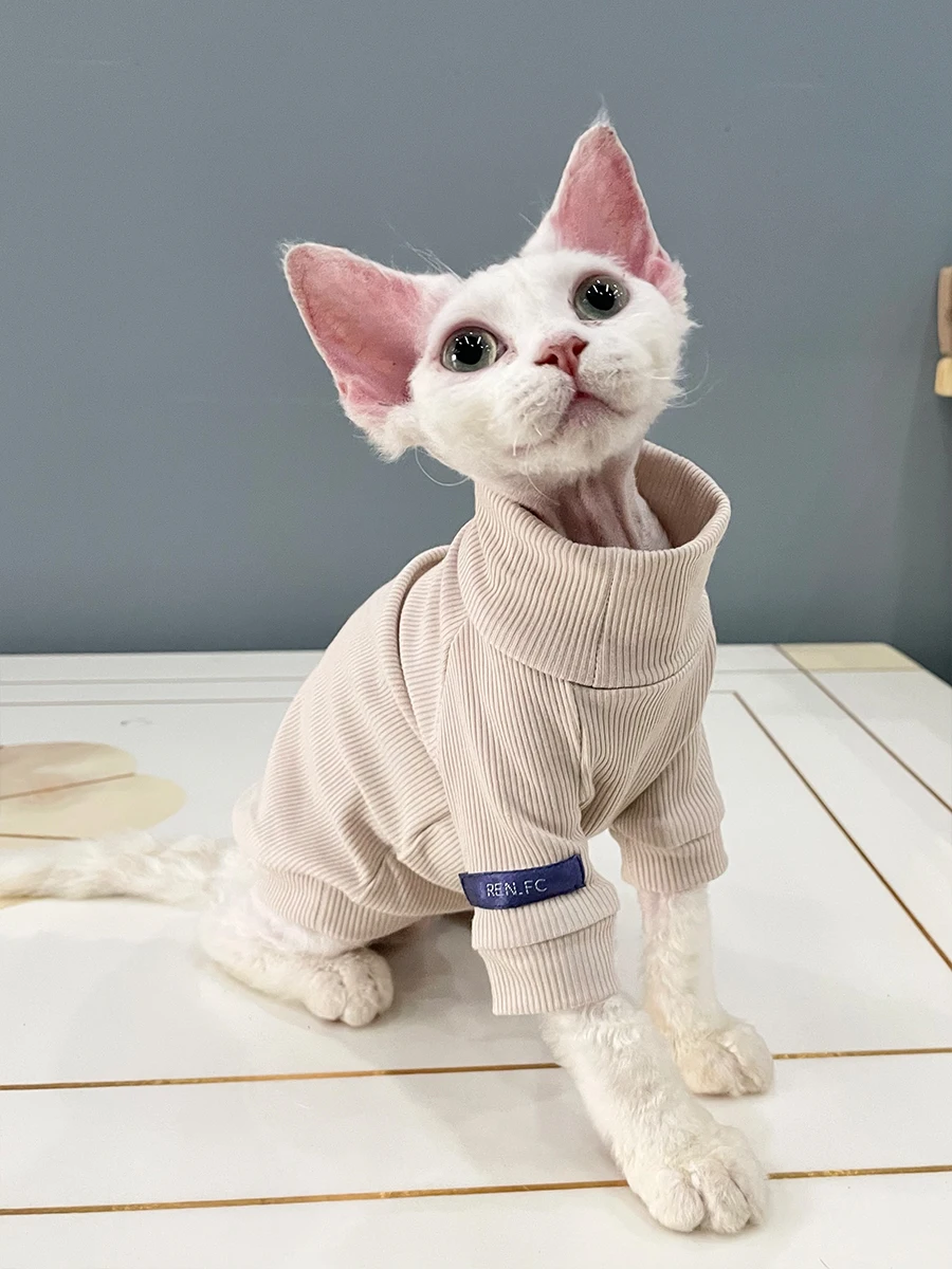 猫飼いが買ってよかったもの・悪かったもの正直に言う｜スフィンクス猫用コットンTシャツの徹底解説