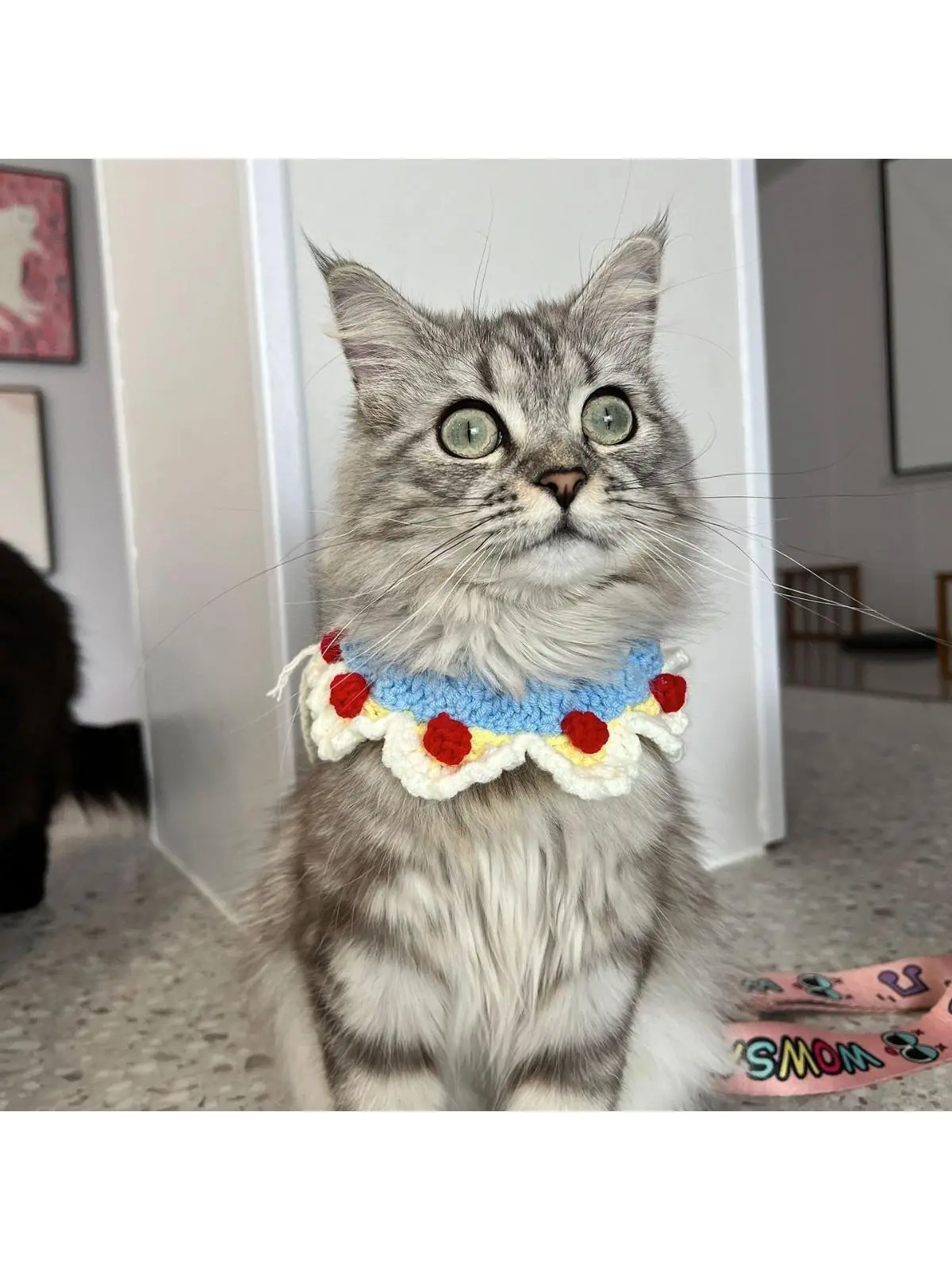 手作り猫用首輪：花飾り編み込みデザインの実用性と適用シーン
