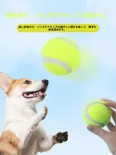耐噛み性ゴム製犬用おもちゃボール【ペットトレーニング・お散歩用・中型犬・小型犬対応】