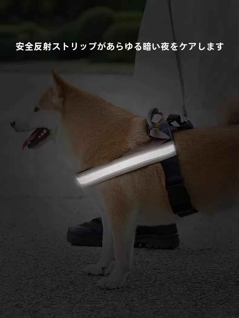 犬のお散歩グッズをコスパ良く揃える方法｜反射材付きハーネスタイプリードの選び方徹底解説