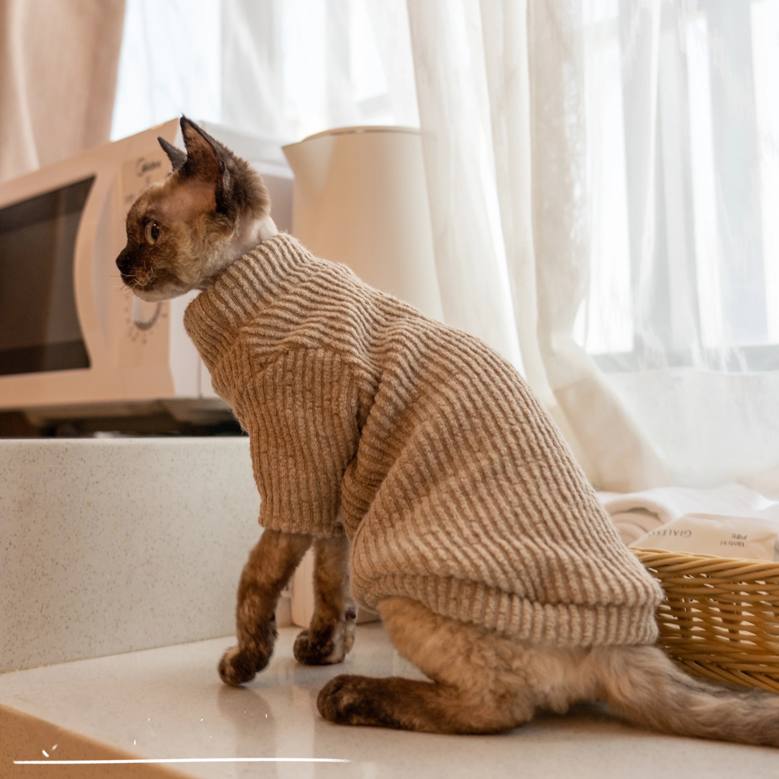 猫飼いが買ってよかったもの・悪かったもの正直に言う｜GINGERAIN テキサス猫用ニットセーターの保温性とフィット感