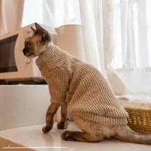 GINGERAIN テキサス猫用ニットセーター【保温・柔らかい・無毛猫対応】