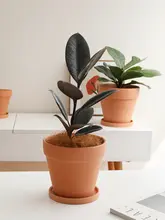プランター 多肉植物に適した 丸型 粗陶の通気性 現代的・シンプル