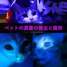 USB充電式レーザーキャットトイ【赤外線ライト・多機能・子猫用】