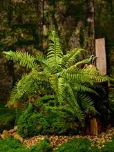リアルなペルシャシダ植物の緑の葉【インテリアグリーン・装飾用】