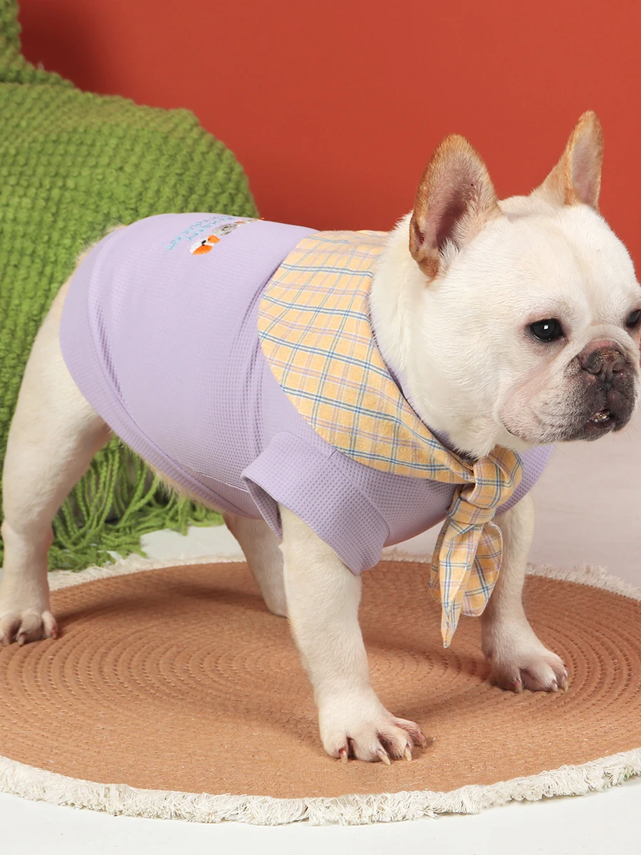 春夏用犬服：薄手可爱设计，适合柴犬与法斗的日常通勤穿搭