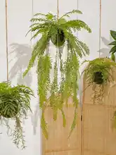 フェイクシダ 植物 吊り飾り 壁掛け装飾 空中飾り