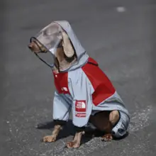 大型犬用 防水犬用レインコート【ラブラドール・ゴールデン・ボーダーコリー対応・四足タイプ】